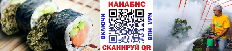 OMG ONION  Красноармейск  Еда ТГК конопля 
