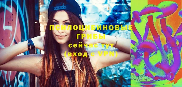 героин Пересвет