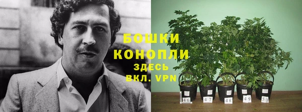 героин Пересвет